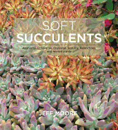 Soft Succulents: Aeoniums, Echeverias, Crassulas, Sedums, Kalanchoes, and Related Plants