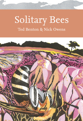 Solitary Bees - Benton, Ted, and Owens, Nick