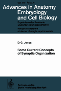 Some Current Concepts of Synaptic Organization