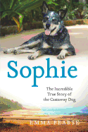 Sophie: The Incredible True Story of the Castaway Dog