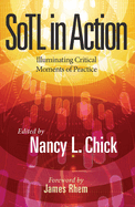Sotl in Action: Illuminating Critical Moments of Practice