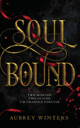 Soul Bound: The Shadow World Book 2