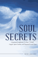 Soul Secrets: A Spiritual Guidebook to Your "Team" - Angels, Spirit Guides, and Departed Loved Ones