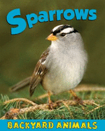 Sparrows - Webster, Christine