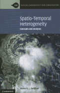 Spatio-Temporal Heterogeneity: Concepts and Analyses