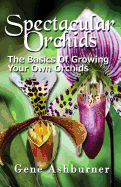 Spectacular Orchids: The Basics of Growing Your Own Orchids