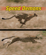 Speed Demons