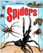 Spiders - Greenaway, Theresa