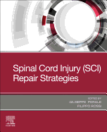 Spinal Cord Injury (SCI) Repair Strategies