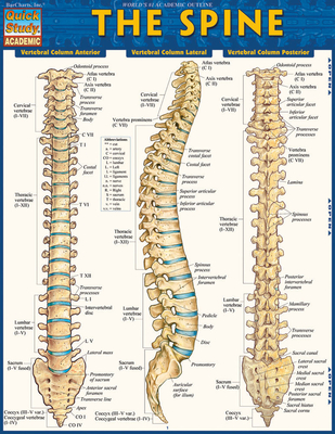 Spine - BarCharts Inc