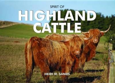 Spirit of Highland Cattle - Sands, Heidi M.