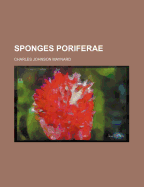 Sponges Poriferae