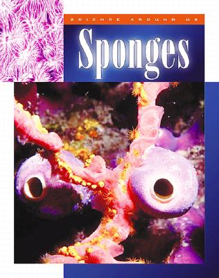 Sponges - Logue, Mary