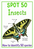 Spot 50 Insects