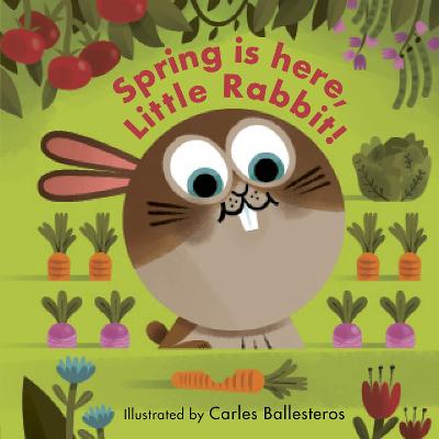 Spring Is Here, Little Rabbit! - Morgan, Matthew