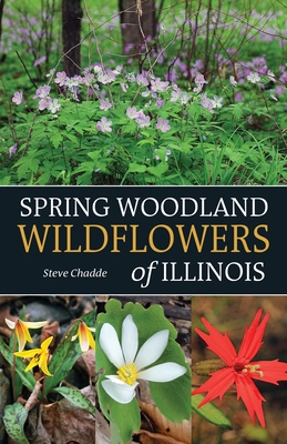 Spring Woodland Wildflowers of Illinois - Chadde, Steve
