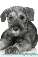 Standard Schnauzer Affirmations Workbook Standard Schnauzer Presents: Positive and Loving Affirmations Workbook. Includes: Mentoring Questions, Guidance, Supporting You.