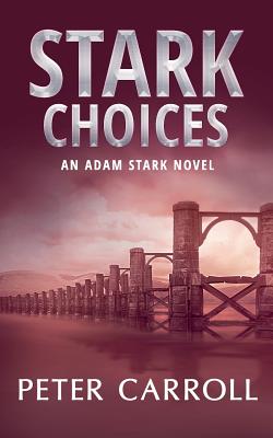 Stark Choices: An Adam Stark Novel - Carroll, Peter, Professor, MD