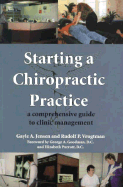 Starting a Chiropractic Practice: A Comprehensive Guide to Clinic Management - Jensen, Gayle A, and Vrugtman, Rudolfh P