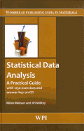 Statistical Data Analysis: A PracticalGuide