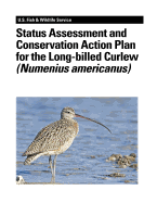 Status Assessment and Conservation Action Plan for the Long-billed Curlew (Numenius americanus)