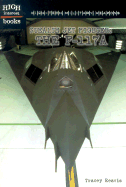 Stealth Jet Fighter: The F-117A - Reavis, Tracey