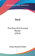 Steel: The Diary of a Furnace Worker (1922)