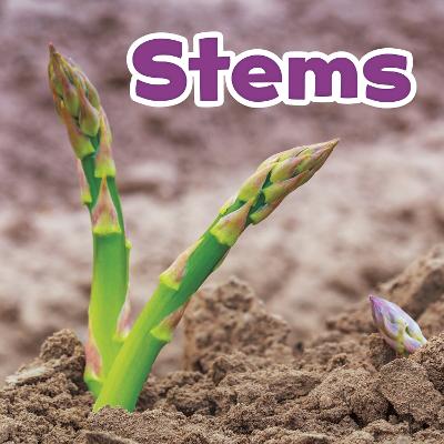 Stems - Kirkman, Marissa