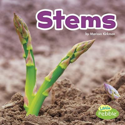 Stems - Kirkman, Marissa