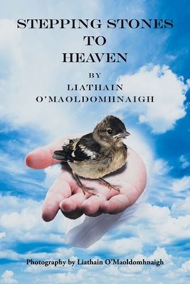 Stepping Stones to Heaven - O'Maoldomhnaigh, Liathain