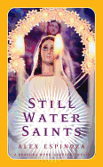 Still Water Saints: A Novel