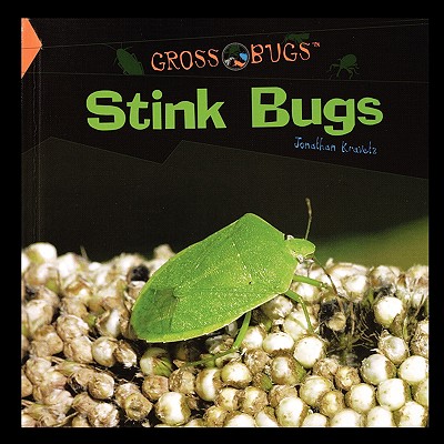 Stink Bugs - Kravetz, Jonathan