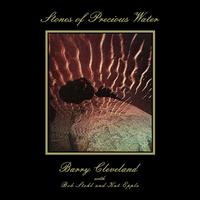 Stones of Precious Water - Barry Cleveland