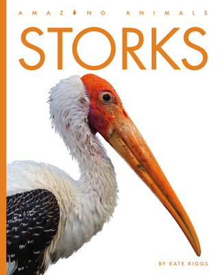 Storks - Riggs, Kate