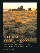 Storm Over Mono