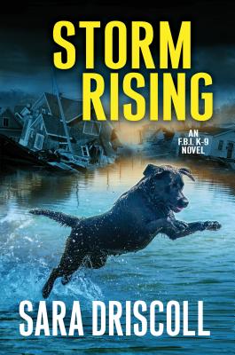 Storm Rising - Driscoll, Sara