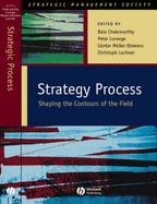 Strategy Process: Shaping the Contours of the Field