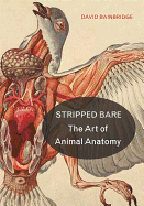 Stripped Bare: The Art of Animal Anatomy