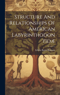 Structure And Relationships Of American Labyrinthodontid