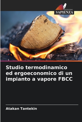 Studio termodinamico ed ergoeconomico di un impianto a vapore FBCC - Tantekin, Atakan