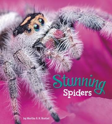 Stunning Spiders - Rustad, Martha E. H.