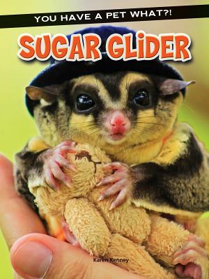 Sugar Glider - Kenney, Karen