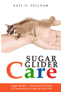 Sugar Gliders: The Essential Guide to Ownership & Care for Your Pet