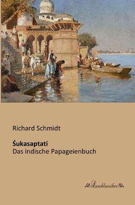 Sukasaptati: Das indische Papageienbuch - Schmidt, Richard, Dr.
