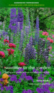 Summer in the garden