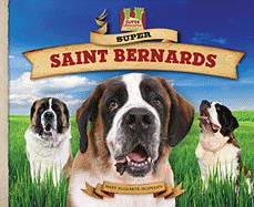 Super Saint Bernards