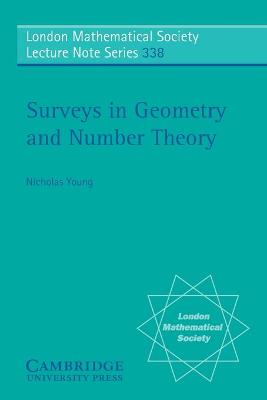 Surveys in Geometry and Number Theory: Reports on Contemporary Russian Mathematics - Young, Nicholas (Editor)