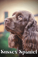Sussex Spaniel: Dog breed overview and guide