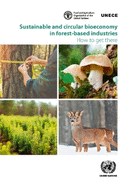 Sustainable and Circular Bioeconomy in Forest-based Industries: How to Get There