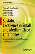 Sustainable Excellence in Small and Medium Sized Enterprises: Continuous Improvement Approaches that Matter